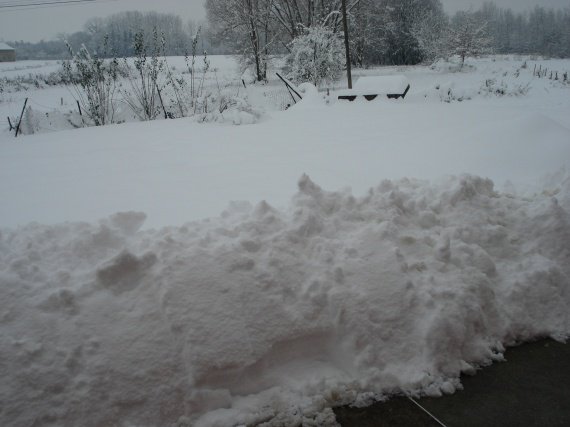 neige 1-12-2010 004