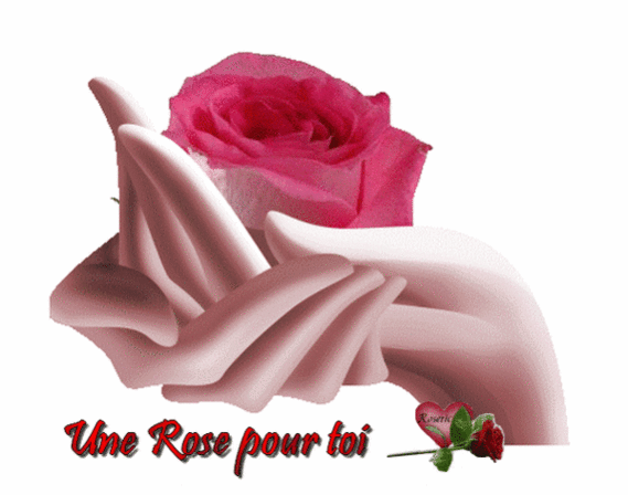 rose-main-82428968d6