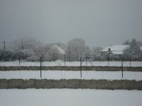 neige 31-01-2011 004