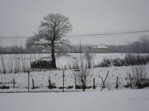 neige 31-01-2011 001