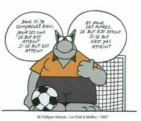 foot-le-chat