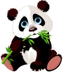panda banbou
