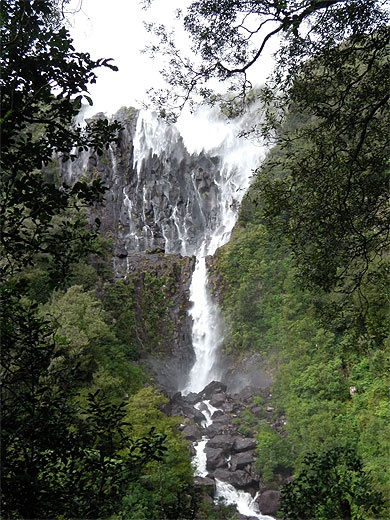 chutes Wairere Falls- Nouvelle Zeland