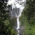chutes Wairere Falls- Nouvelle Zeland