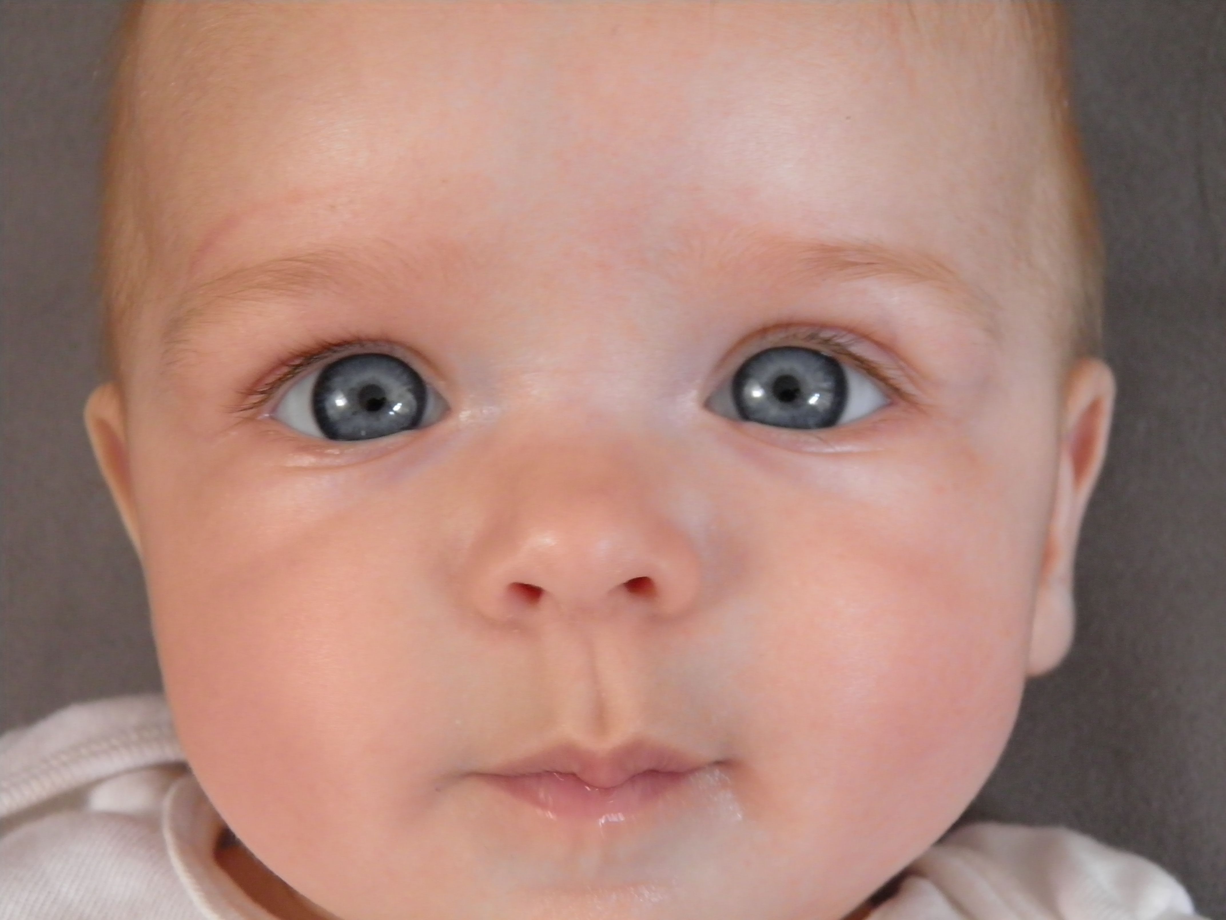 La Couleur Des Yeux De Bébé à 5 Mois Bébés De Lannée