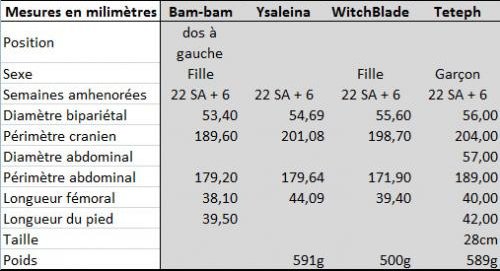Tableau Recap De Nos Echo Morpho Futures Mamans Forum Grossesse Amp Bebe Doctissimo