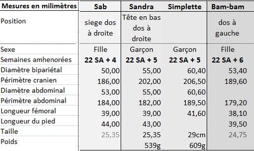 Resultats De Vos Echo Morpho C Est Ici Echographie Connaitre Le Sexe De Votre Bebe Forum Grossesse Amp Bebe Doctissimo