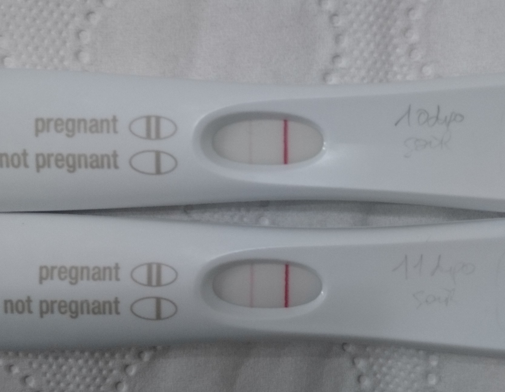 Vos tests à 10 /11DPO - Tests et symptômes de grossesse - FORUM ...