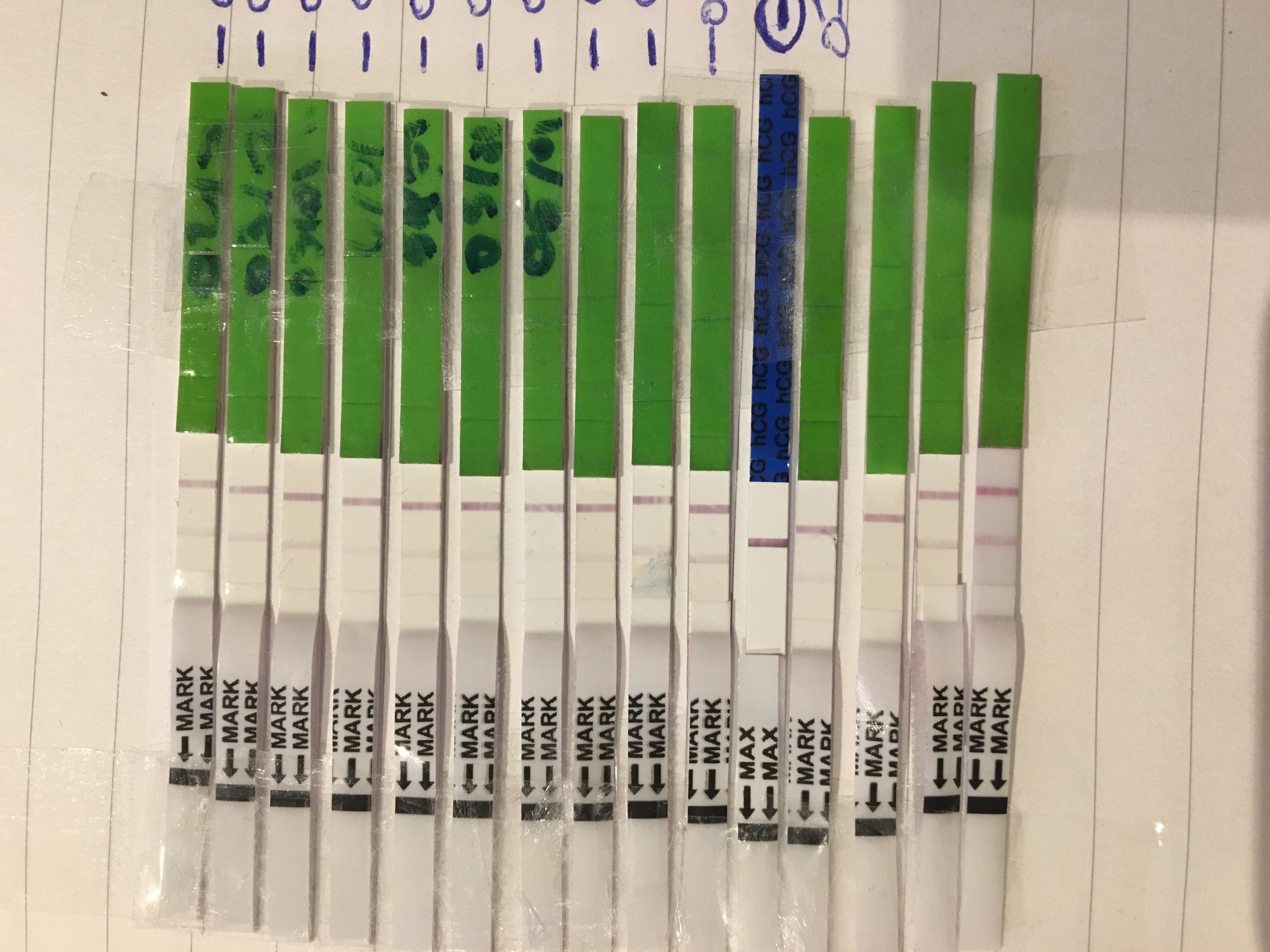 Test Ovulation Apres Fc On Se Suit Ovulation Forum Grossesse