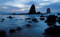 cannon-beach-blue-needles-at-haystack