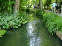 Dans le jardin de Claude Monet,photo de zabh,