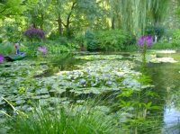 Les nymphéas,photo de zabh jardin de claude Monet