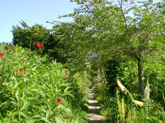Une allée ombragée dans le jardin de Claude Monet Giverny photo de Zabh 09