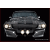 16Mustang Shelby GT 500 Eleanor