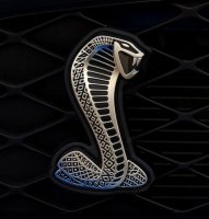 ford_mustang_shelby_gt500_emblem5_10