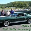 Shelby_Wertz_1968_Shelby_Mustang_GT-500