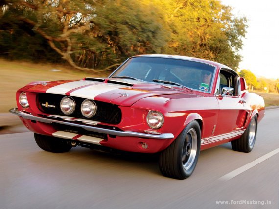 shelby-mustang-gt500-1967-02