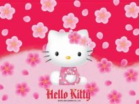 hello-kitty-20070422-243921