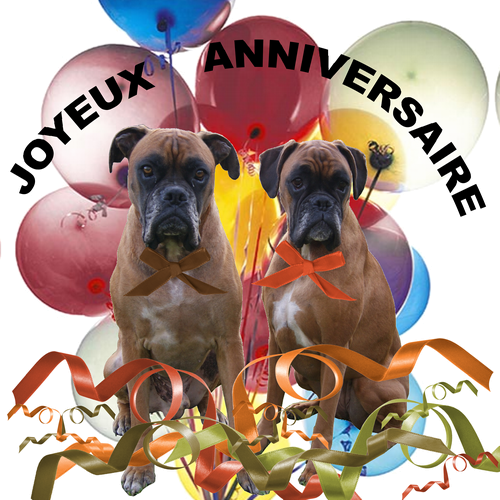 Joyeux Anniversaire De La Part Des Poilus Smiley Urkoc Photos Club Doctissimo Joyeux Anniversaire De La Part Des Poilus Smiley Urkoc Photos Club Doctissimo