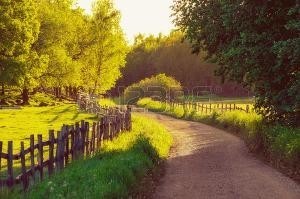 61880948 Paysage Ensoleille Rural Suede D Ete Avec La Route Les