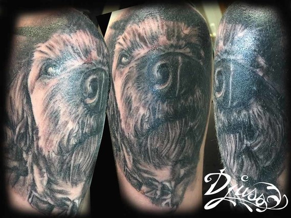 Photo Image Tatouage Portrait Visage Femme Loups Realiste