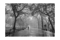 henri-silberman-central-park-poet-s-walk-new-york-city-landmarks