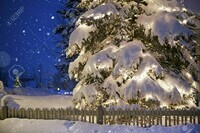 26027818-arbre-de-noël-illuminé-sous-la-neige-vacances-décoration-extérieure-