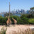 Zoo de taronga-Australien-Sydney