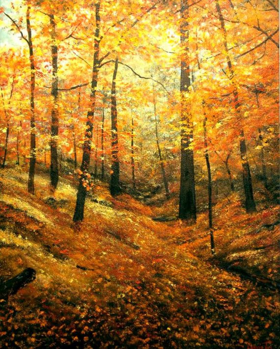 autumn_forest-1195