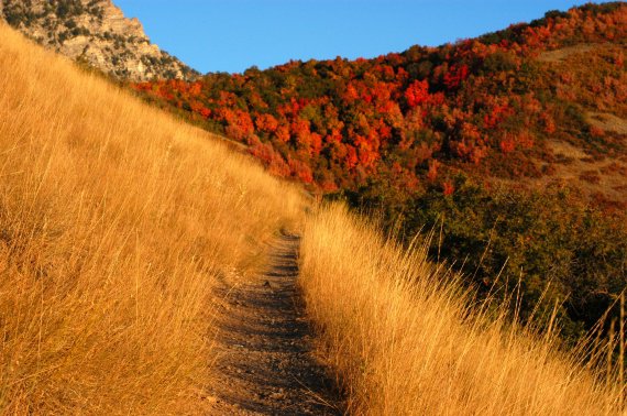 Autumn_mountain_trail