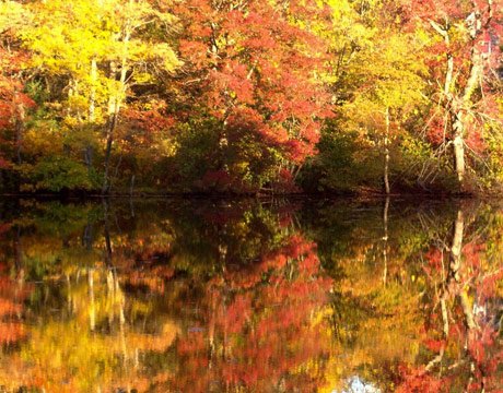 fall-reflections-pond-www-lg