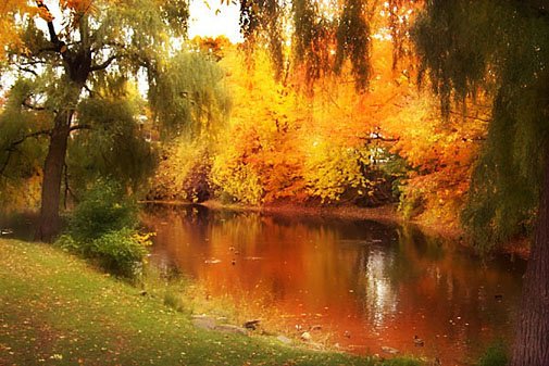 L'automne au parc Raimbault a Montreal