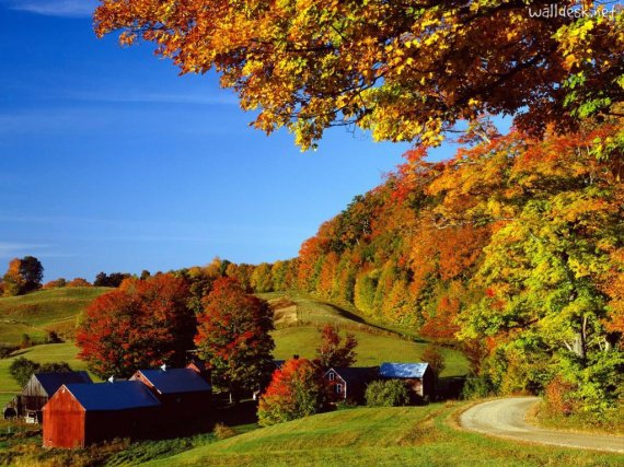 Woodstock-in-Autumn,-Vermont