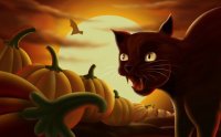 black-cat-halloween-pumpkins
