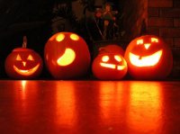 halloween-pumpkins-halloween-916