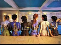 body-paint---pink-floyd-albums