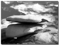 mer-rochers-meilleure-photo-noir-blanc_274316