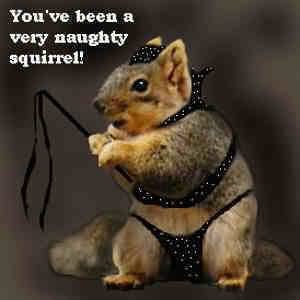 naughty_squirrel