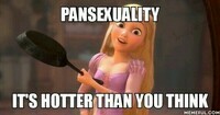 Pansexuality meme