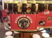 dog beer