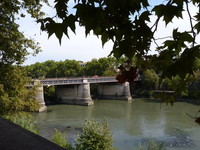 pont Palatino (2)