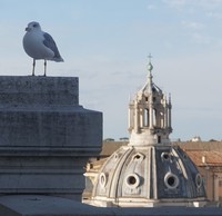 vue du monument victor emmanuel2 Rome