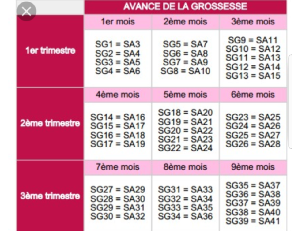 SG ou SA ? Grossesse FORUM Grossesse & bébé Doctissimo Calendrier Grossesse Sa Sg