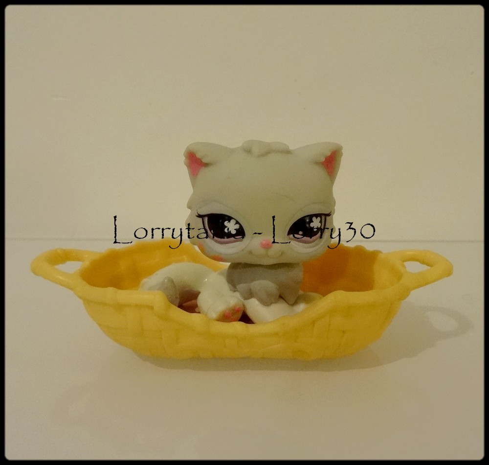 Pet Shop Chat Panier 5 Jouets Lorry30 Photos Club Doctissimo Pet Shop Chat Panier 5 Jouets Lorry30 Photos Club Doctissimo