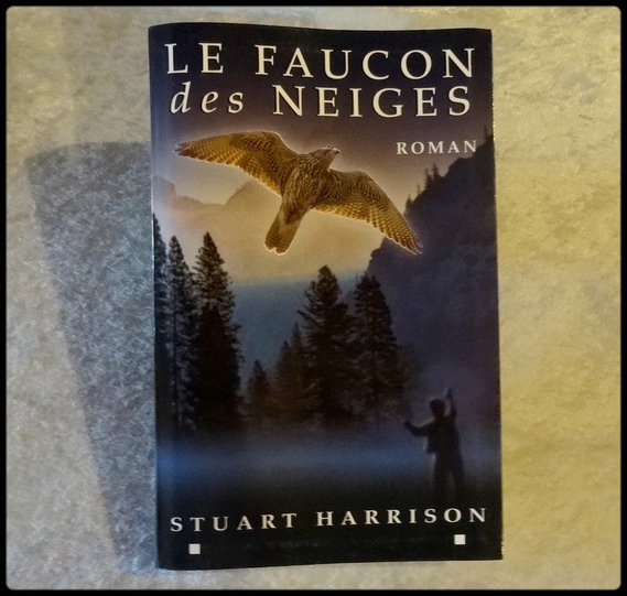 Le faucon des neiges 3 € Stuart HARRISON