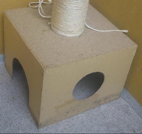 Construction D Un Arbre A Chat Etape Par Etape Chats Forum Animaux Doctissimo Construction D Un Arbre A Chat Etape Par Etape Chats Forum Animaux Doctissimo