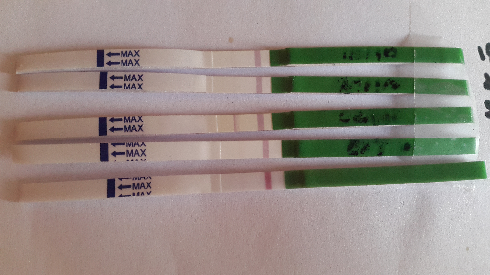 tests d ovulations positif ou pas ? merci pour votre avis Ovulation