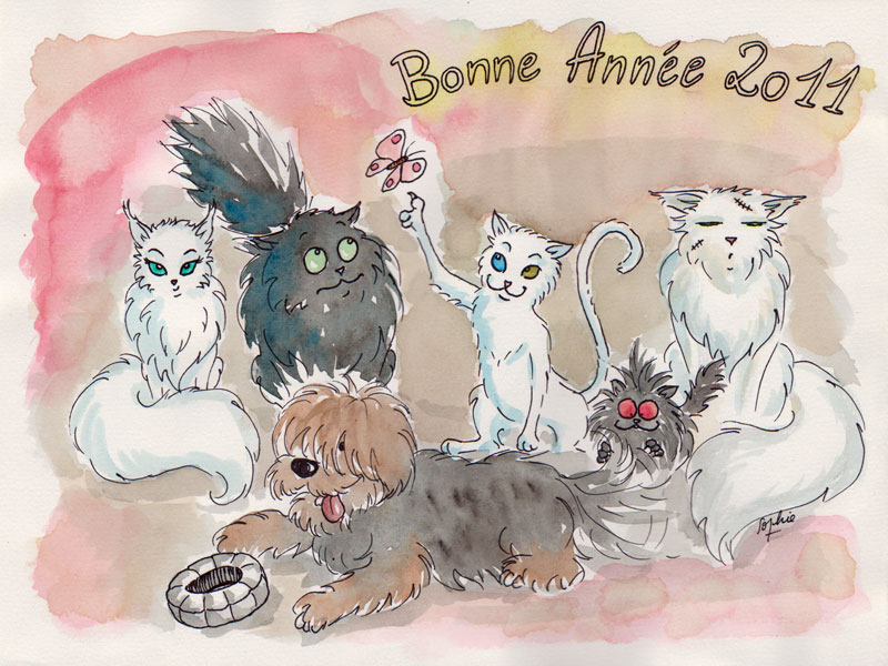 A Mon Tour De Souhaiter La Bonne Annee Chats Forum Animaux A Mon Tour De Souhaiter La Bonne Annee Chats Forum Animaux