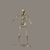 dancing squelette