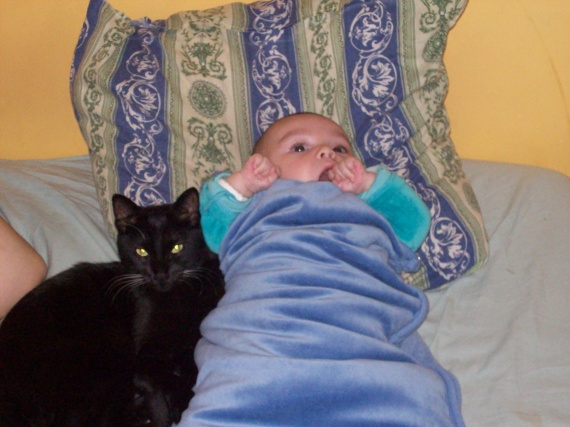 Chat Et Bebe